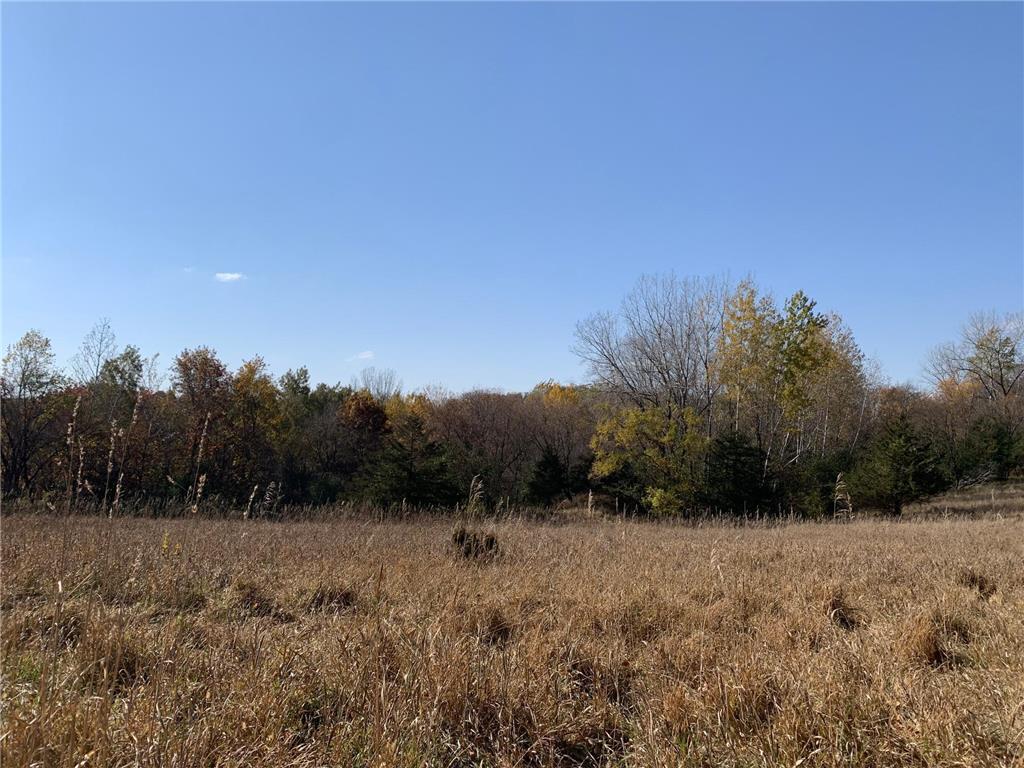 TBD 75th Street NW Oronoco Twp MN 55901 6563250 image35