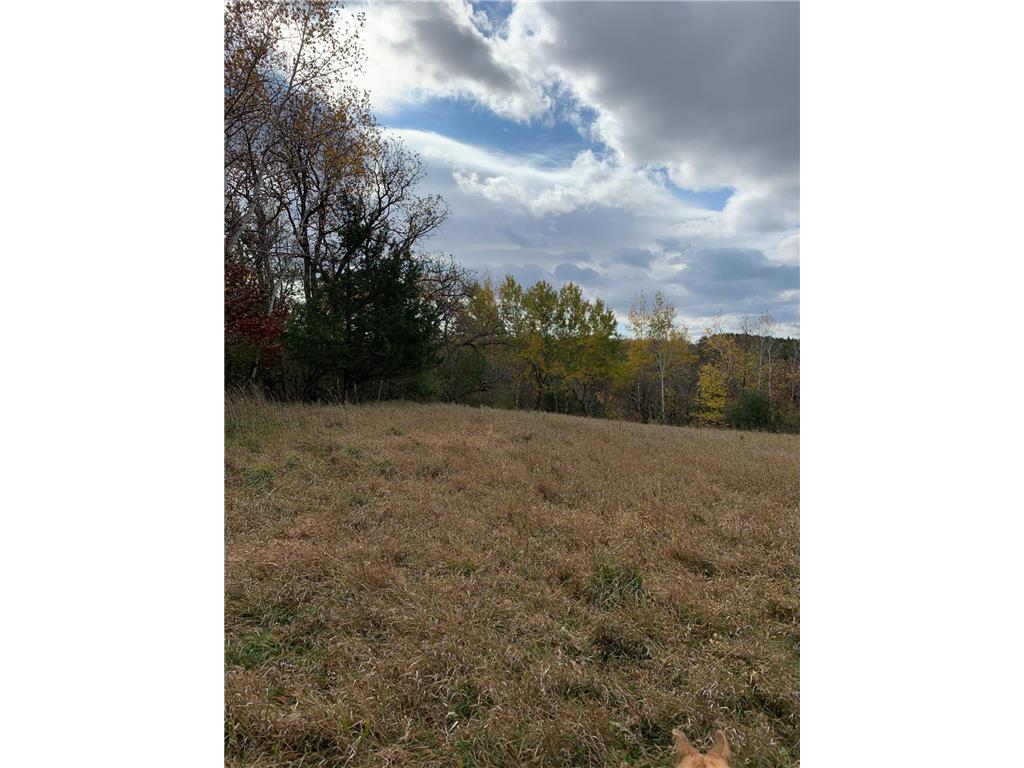 TBD 75th Street NW Oronoco Twp MN 55901 6563250 image36