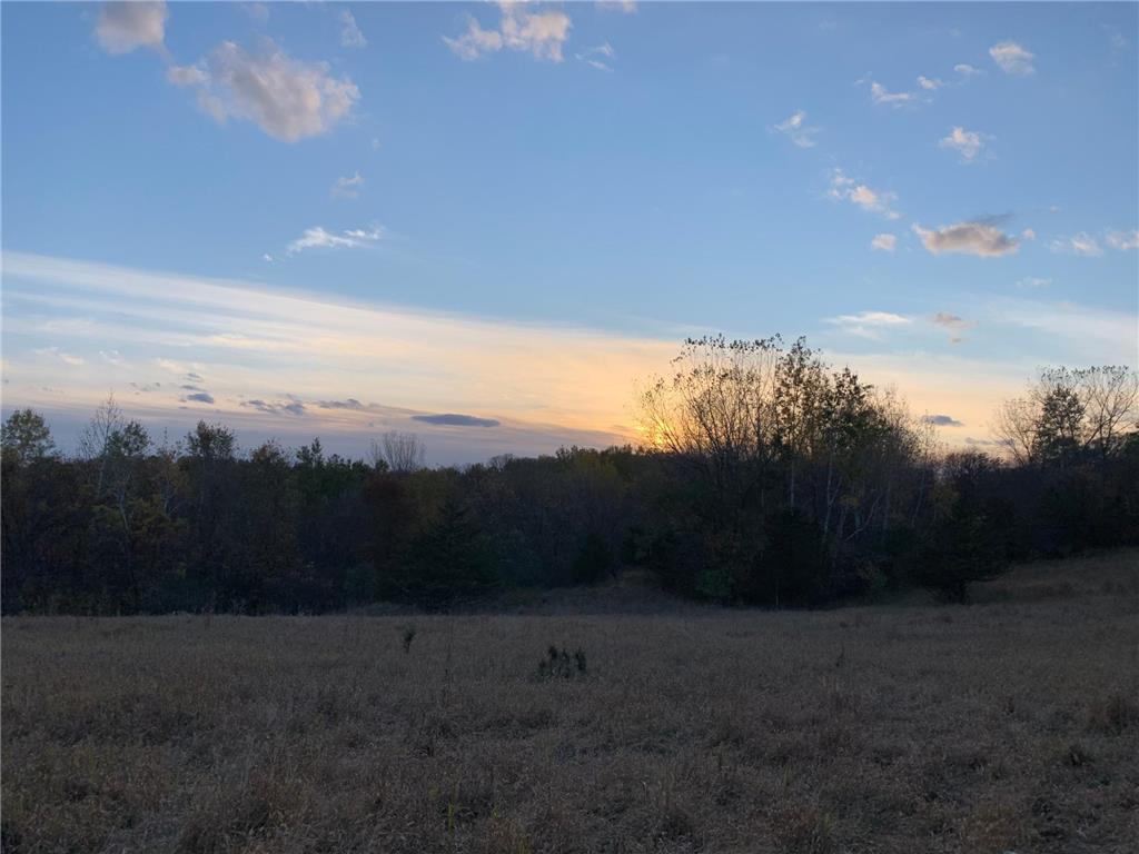 TBD 75th Street NW Oronoco Twp MN 55901 6563250 image37