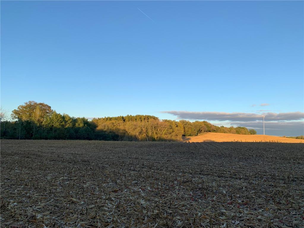 TBD 75th Street NW Oronoco Twp MN 55901 6563250 image38