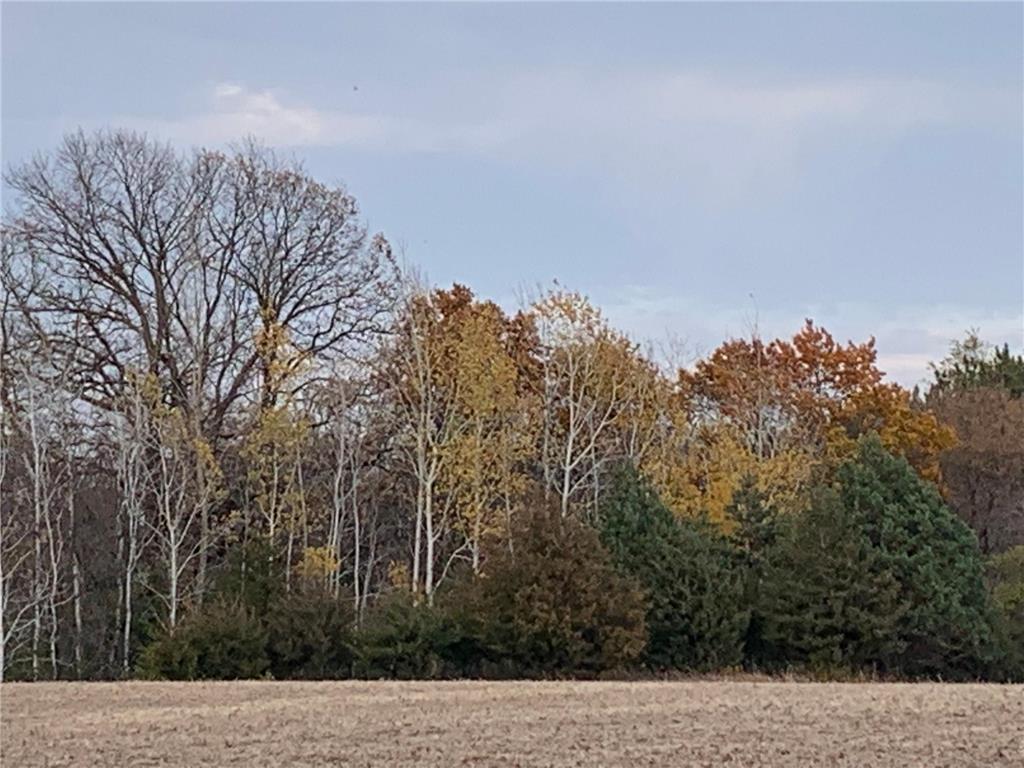 TBD 75th Street NW Oronoco Twp MN 55901 6563250 image39