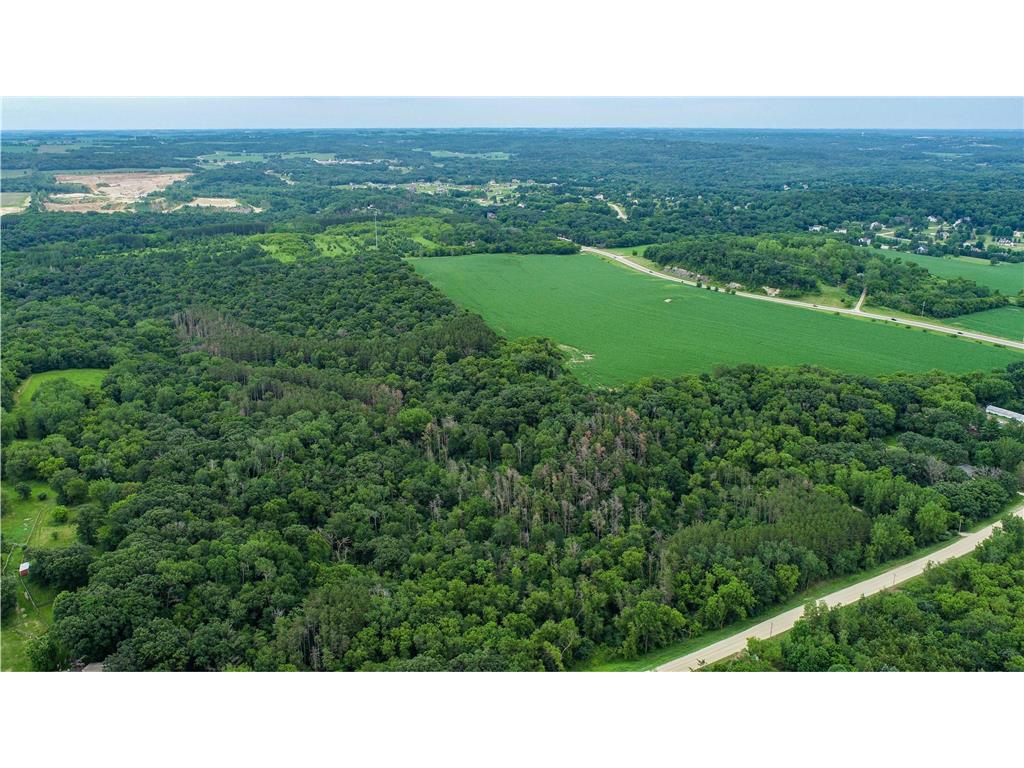 TBD 75th Street NW Oronoco Twp MN 55901 6563250 image4