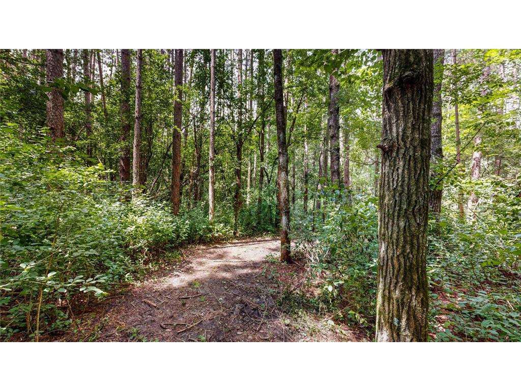TBD 75th Street NW Oronoco Twp MN 55901 6563250 image8