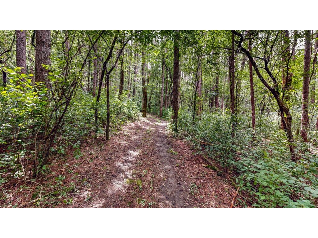 TBD 75th Street NW Oronoco Twp MN 55901 6563250 image9