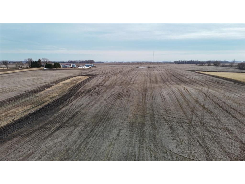 TBD 785th Avenue Geneva Twp MN 56026 7052536 image3