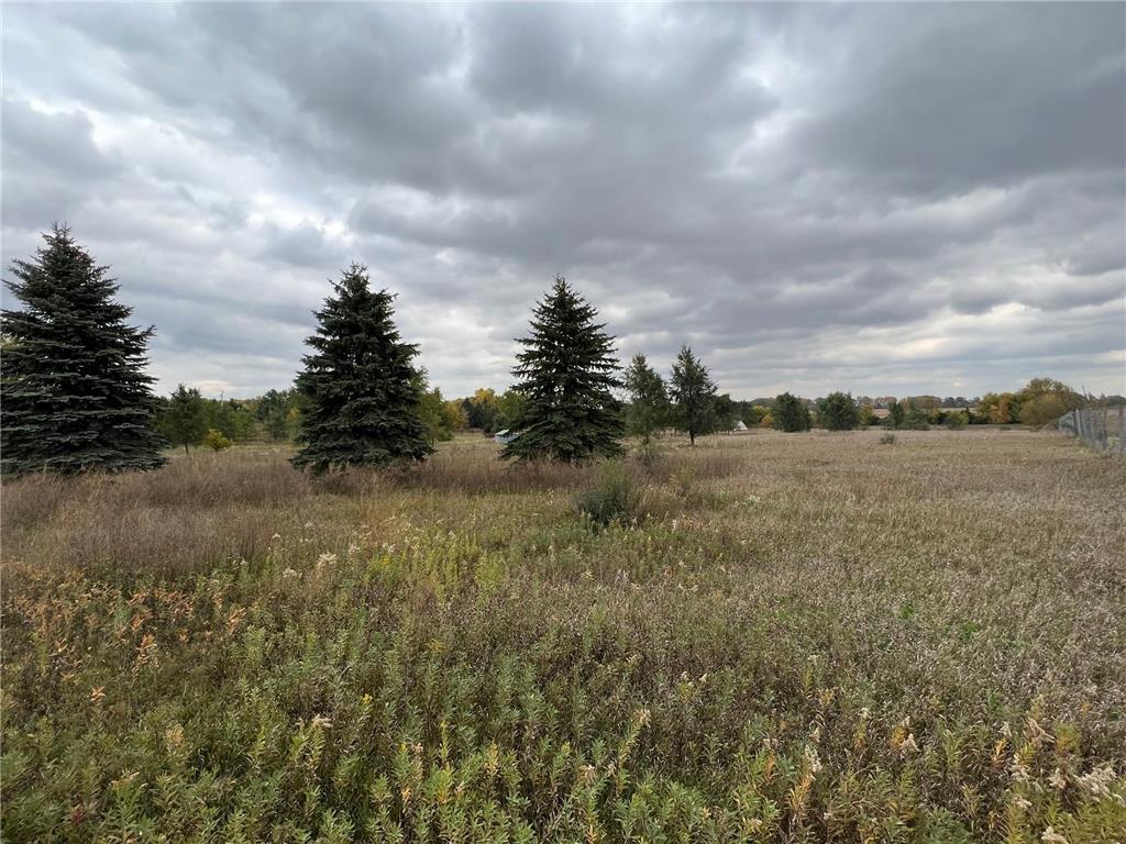 TBD 785th Avenue Racine MN 55967 6269987 image1