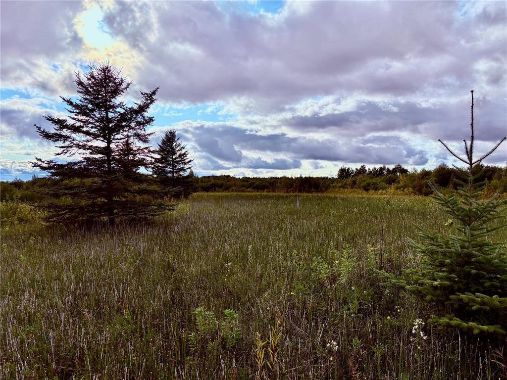 TBD 7th St SW Baudette MN 56623 6782505 image2