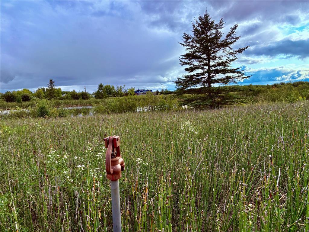 TBD 7th St SW Baudette MN 56623 6782505 image4