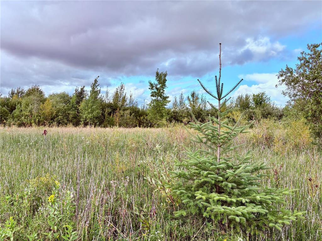 TBD 7th St SW Baudette MN 56623 6782505 image5