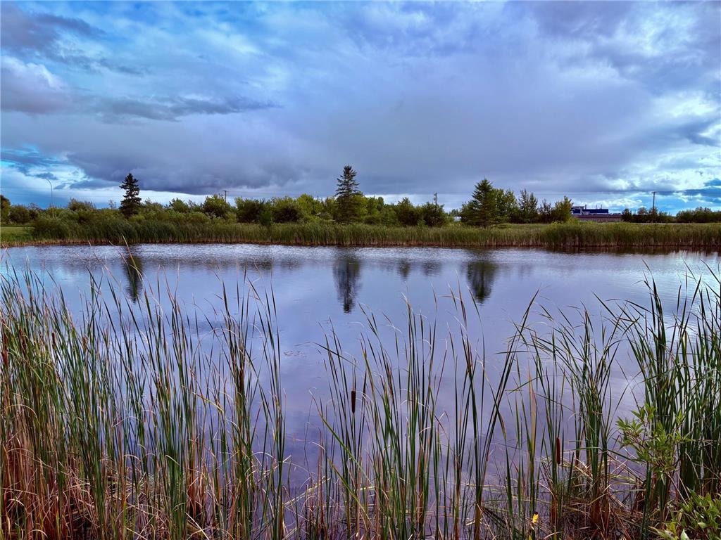 TBD 7th St SW Baudette MN 56623 6782505 image6