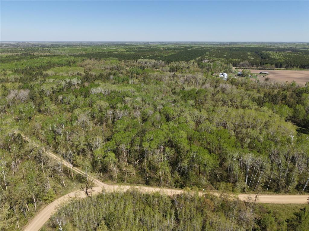 TBD 8 Bog Lake Trail Osage MN 56570 7039538 image3