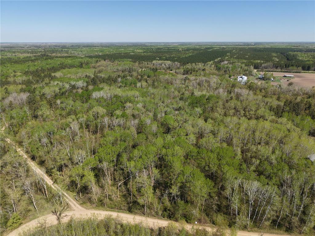 TBD 8 Bog Lake Trail Osage MN 56570 7039538 image4