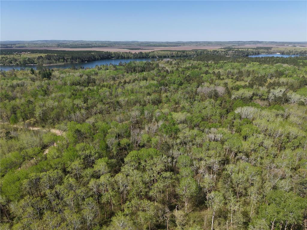 TBD 8 Bog Lake Trail Osage MN 56570 7039538 image5