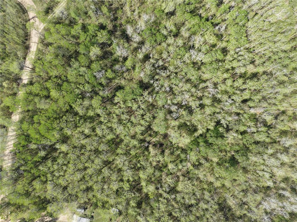 TBD 8 Bog Lake Trail Osage MN 56570 7039538 image7