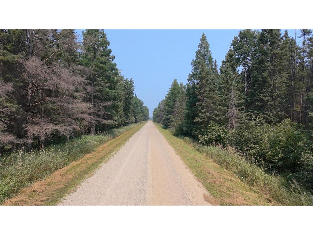 TBD 80 Acres Sunflower Road NE Woodrow Twp MN 56650 6766143 image1