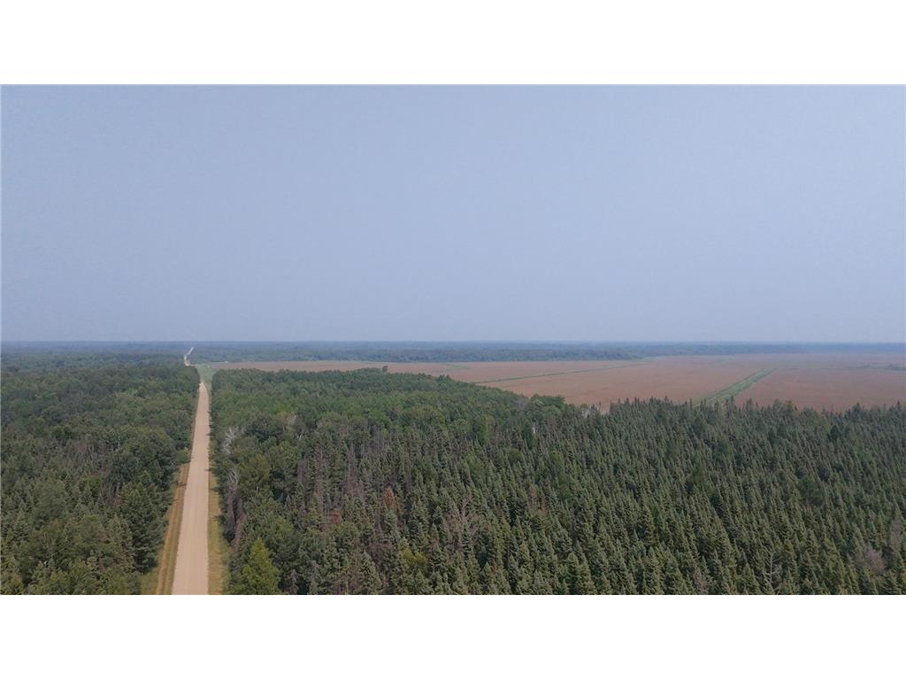 TBD 80 Acres Sunflower Road NE Woodrow Twp MN 56650 6766143 image10