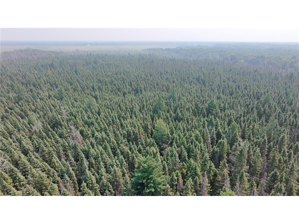 TBD 80 Acres Sunflower Road NE Woodrow Twp MN 56650 6766143 image13
