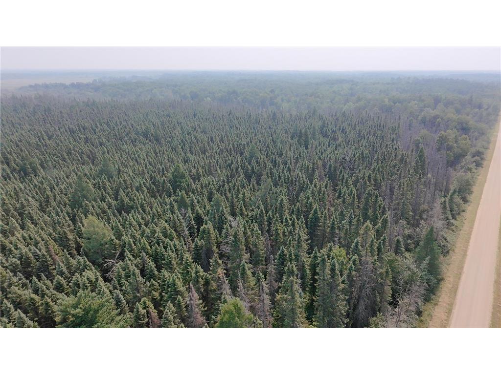 TBD 80 Acres Sunflower Road NE Woodrow Twp MN 56650 6766143 image14
