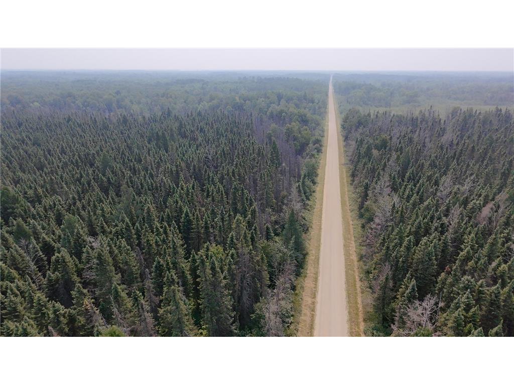 TBD 80 Acres Sunflower Road NE Woodrow Twp MN 56650 6766143 image15
