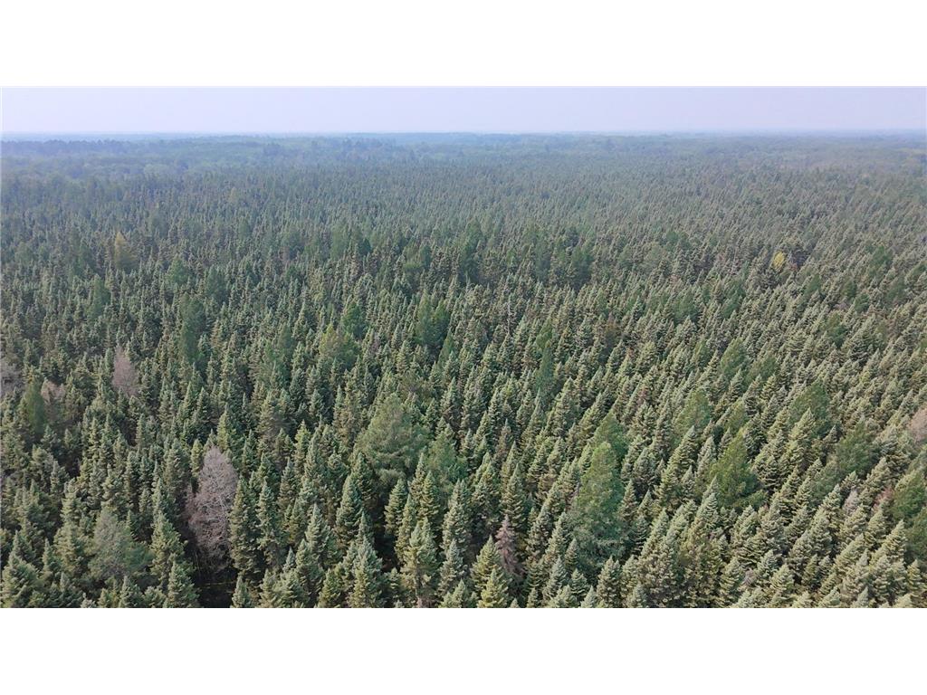 TBD 80 Acres Sunflower Road NE Woodrow Twp MN 56650 6766143 image18