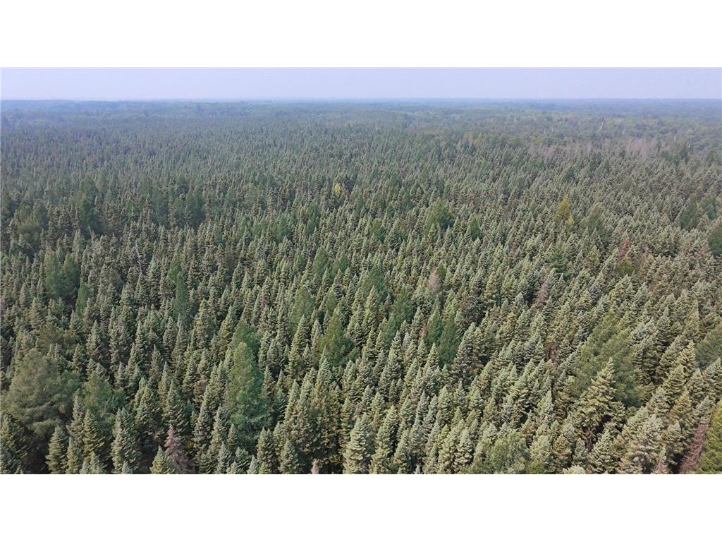 TBD 80 Acres Sunflower Road NE Woodrow Twp MN 56650 6766143 image19