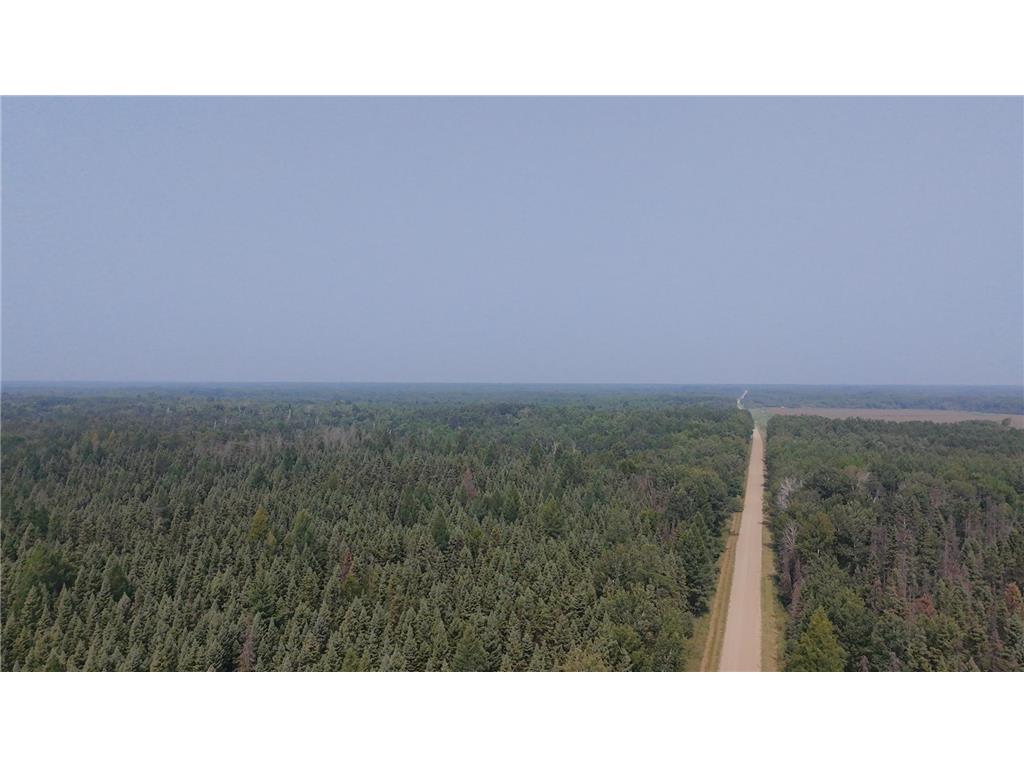 TBD 80 Acres Sunflower Road NE Woodrow Twp MN 56650 6766143 image2