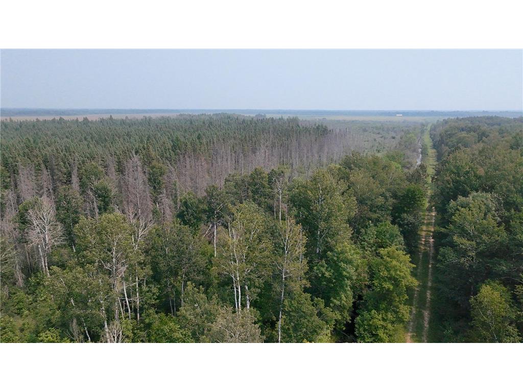 TBD 80 Acres Sunflower Road NE Woodrow Twp MN 56650 6766143 image21
