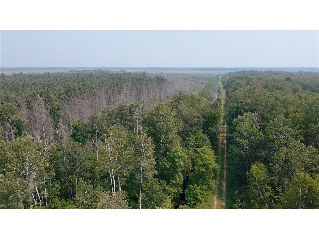 TBD 80 Acres Sunflower Road NE Woodrow Twp MN 56650 6766143 image22