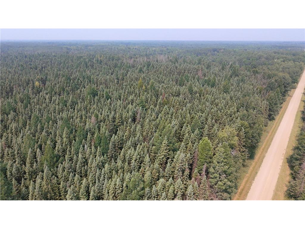 TBD 80 Acres Sunflower Road NE Woodrow Twp MN 56650 6766143 image24