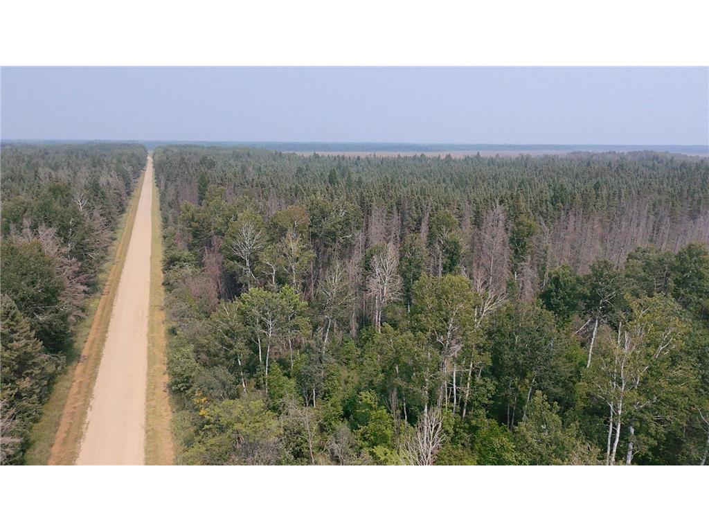 TBD 80 Acres Sunflower Road NE Woodrow Twp MN 56650 6766143 image25