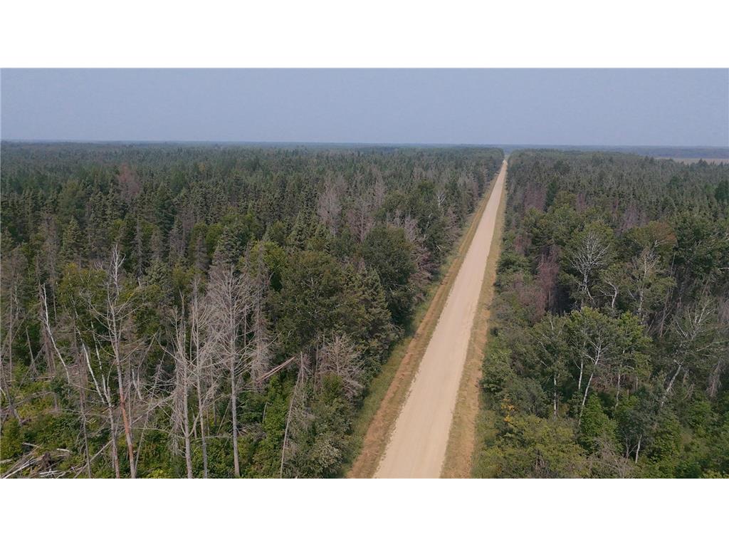 TBD 80 Acres Sunflower Road NE Woodrow Twp MN 56650 6766143 image27
