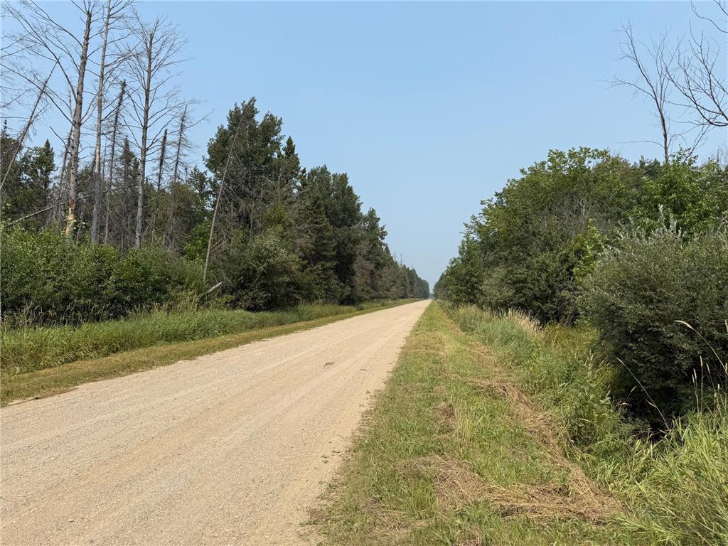 TBD 80 Acres Sunflower Road NE Woodrow Twp MN 56650 6766143 image30