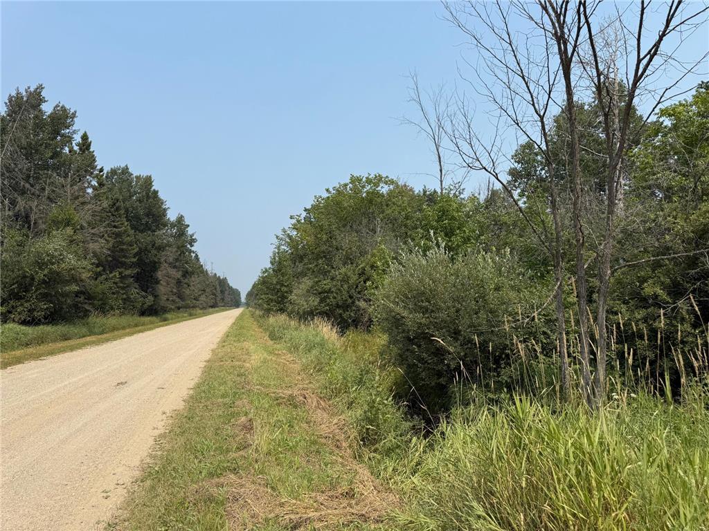 TBD 80 Acres Sunflower Road NE Woodrow Twp MN 56650 6766143 image32