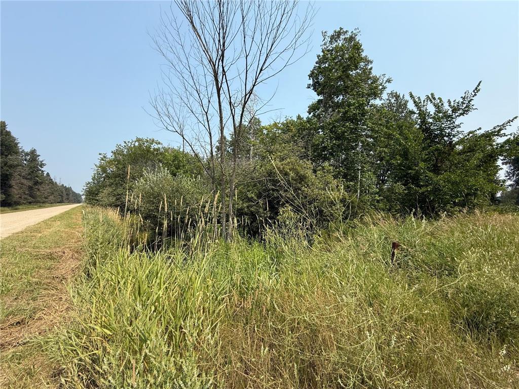 TBD 80 Acres Sunflower Road NE Woodrow Twp MN 56650 6766143 image33