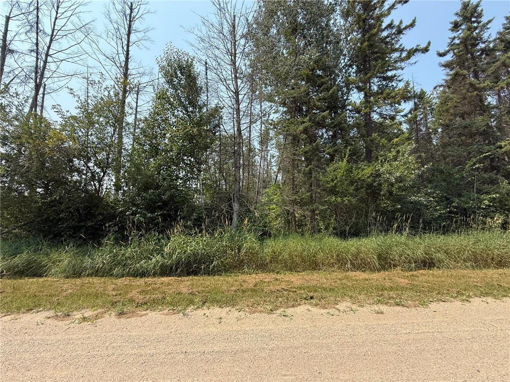 TBD 80 Acres Sunflower Road NE Woodrow Twp MN 56650 6766143 image36