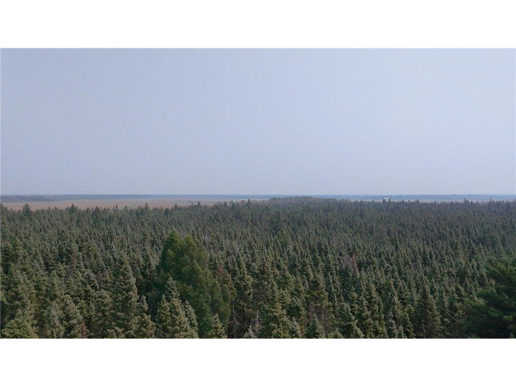 TBD 80 Acres Sunflower Road NE Woodrow Twp MN 56650 6766143 image4