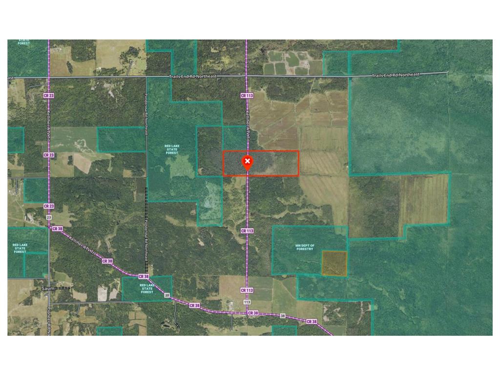 TBD 80 Acres Sunflower Road NE Woodrow Twp MN 56650 6766143 image41