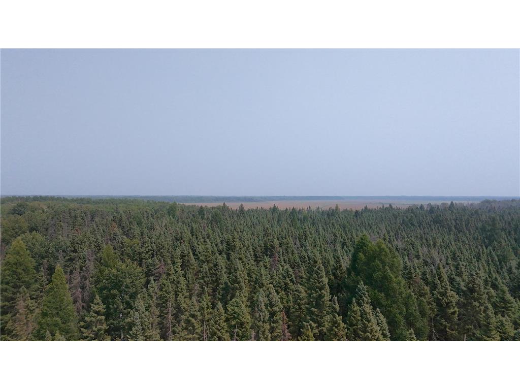 TBD 80 Acres Sunflower Road NE Woodrow Twp MN 56650 6766143 image5