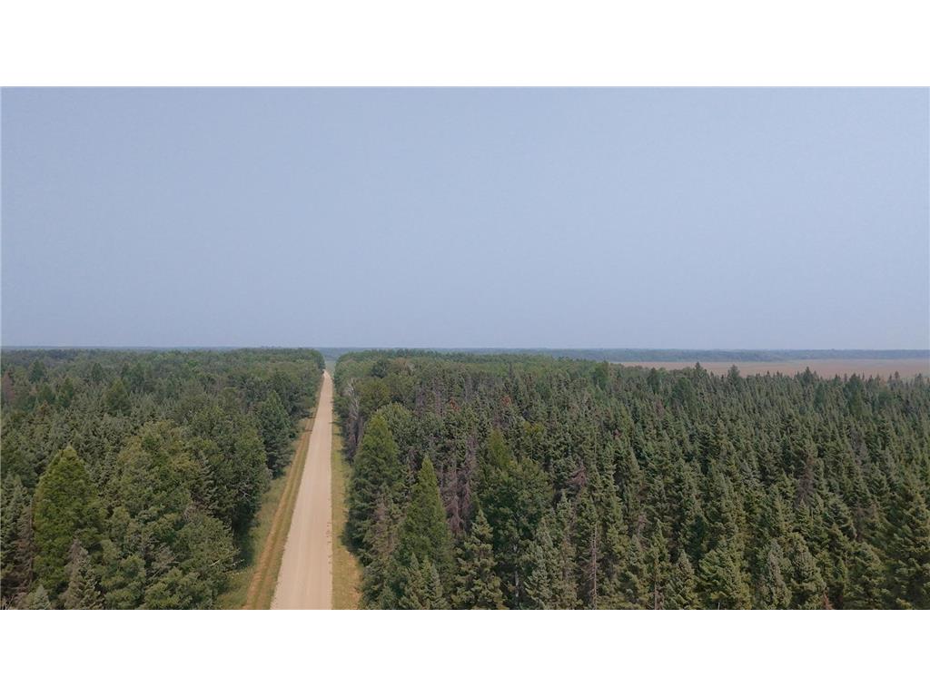TBD 80 Acres Sunflower Road NE Woodrow Twp MN 56650 6766143 image6