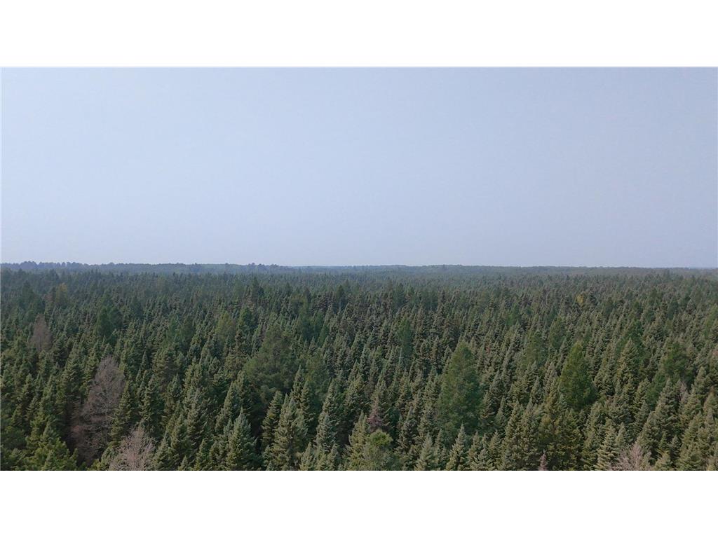 TBD 80 Acres Sunflower Road NE Woodrow Twp MN 56650 6766143 image7