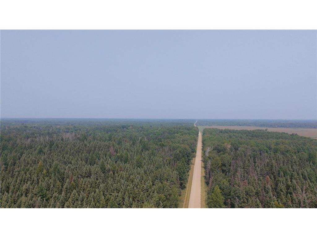 TBD 80 Acres Sunflower Road NE Woodrow Twp MN 56650 6766143 image8