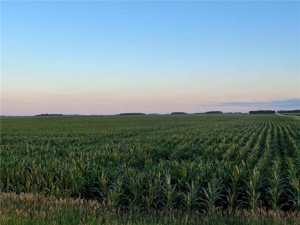 TBD 840th Street West Heron Lake Twp MN 56161 6397682 image1