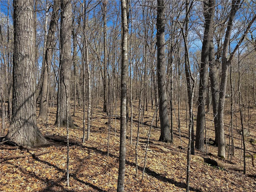 TBD 85th Street Clam Falls WI 54837 - Somers Lake 7064122 image4