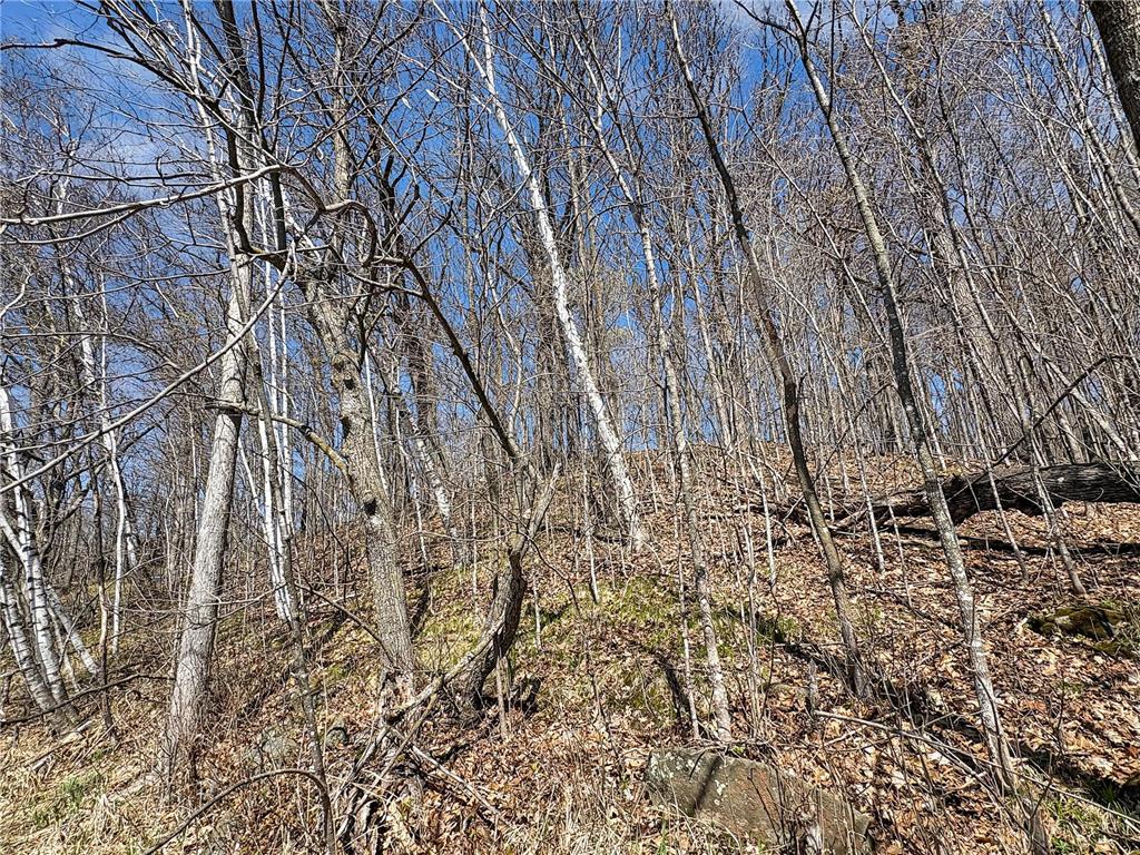 TBD 85th Street Clam Falls WI 54837 - Somers Lake 7064122 image5