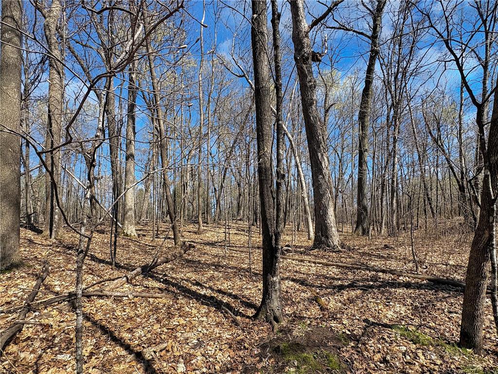TBD 85th Street Clam Falls WI 54837 - Somers Lake 7064122 image6