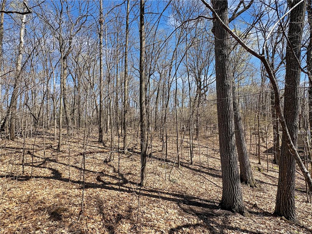 TBD 85th Street Clam Falls WI 54837 - Somers Lake 7064122 image7