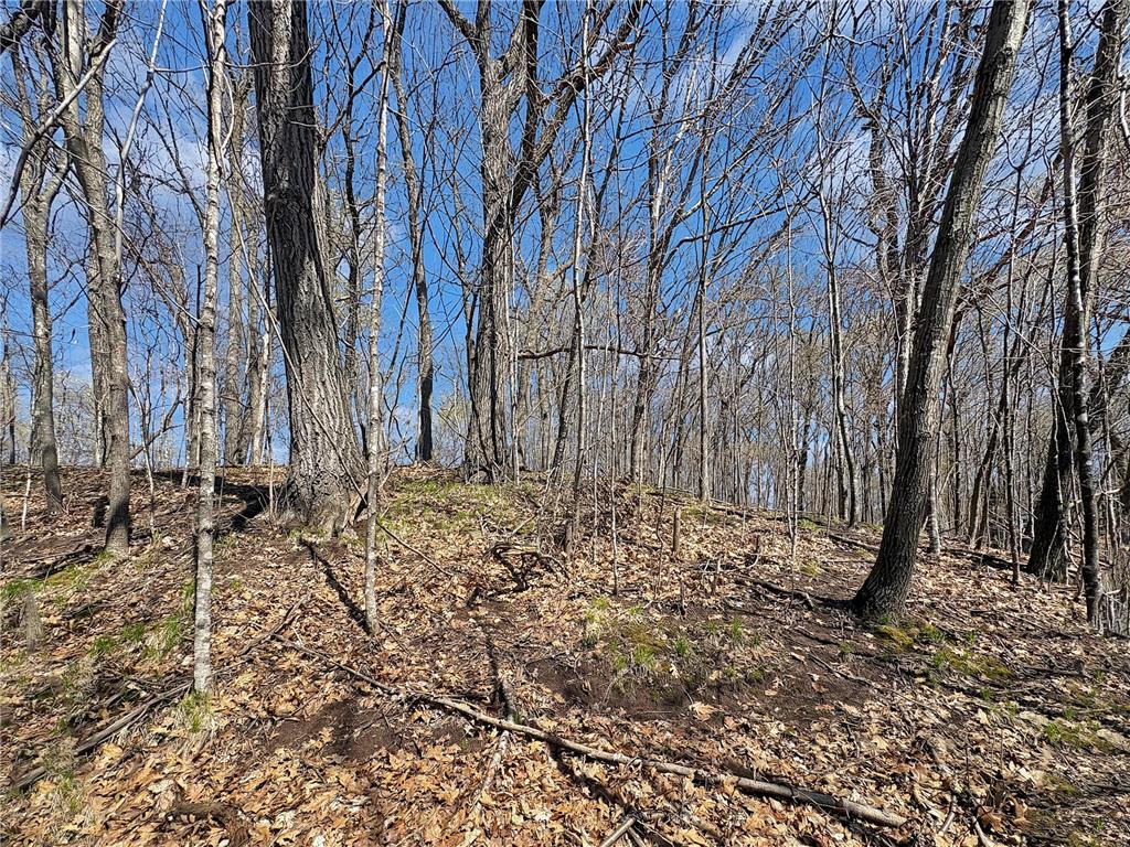 TBD 85th Street Clam Falls WI 54837 - Somers Lake 7064122 image9