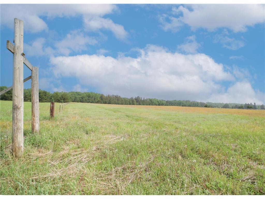 TBD 8th Street SW Backus MN 56435 6332510 image1