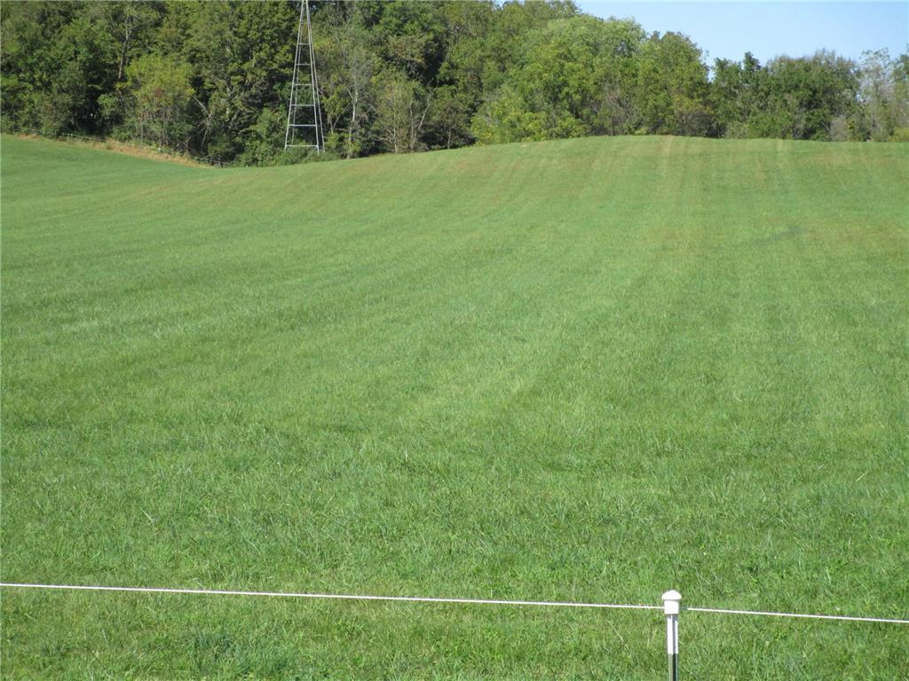 TBD 8th Street SW Pine Island MN 55963 6794961 image2