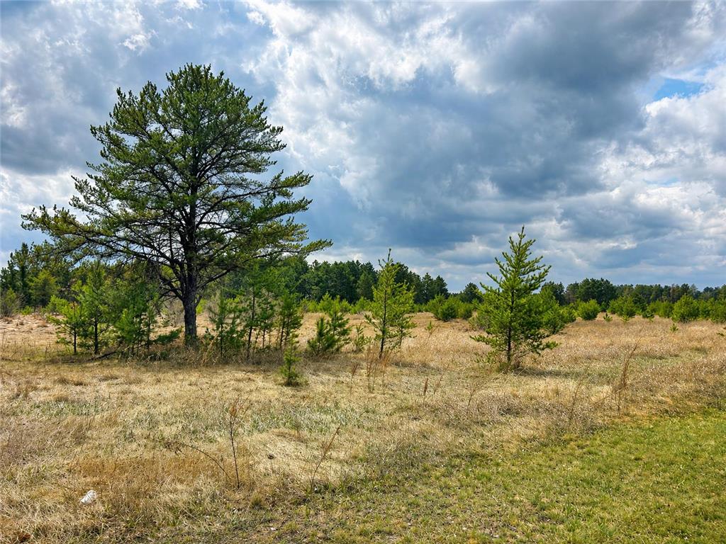 TBD 8th Street W Park Rapids MN 56470 7061000 image1